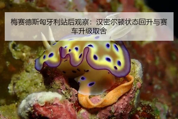 梅赛德斯匈牙利站后观察：汉密尔顿状态回升与赛车升级取舍
